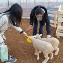 내지농장 이미지