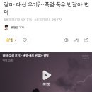 장마 대신 우기?‥폭염·폭우 번갈아 변덕 이미지