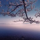 인정행정사합동사무소 이미지