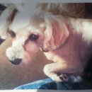 상암주유소 이미지