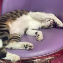 역전셀프세차장 | 김콜라일기장 벌써 7월이라니