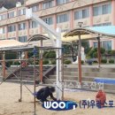 진부초등학교 이미지