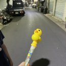 썬하우스 이미지