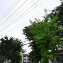 오리온사원아파트 이미지