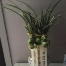 사수금호스크린골프 이미지