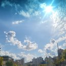 호사유피 이미지