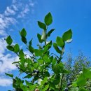 참살이농원 이미지