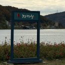남도어린이집 | 가을 끝자락에 아이들과 가볼만한 곳 자라섬 남도꽃정원 방문후기 (입장료무료)