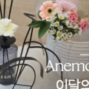싱싱플라워 - 서초구 신반포로 200 | 싱싱플라워