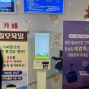 정선이야기 | 정선 가리왕산 케이블카, 주말 대기 여부 및 여행 후기