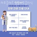 라퓨클레르 동물피부클리닉 | 강남구 청담동 동물병원 라퓨클레르 동물피부클리닉 위치 오는길 후기
