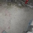 대동,현대,코아루 아파트 이미지