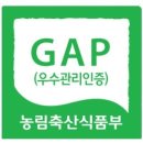 즙이야기