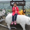 배다골민속박물관 이미지