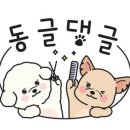 동글댕글 이미지