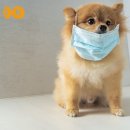 라온 반려 동물병원 이미지