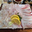 싱싱 노래연습장 이미지