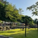 더 밸리 이미지