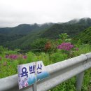 육백산골