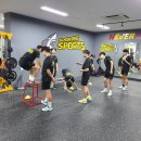 더스포팅스포츠 네이버블로그