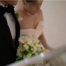 W4. 본식스냅 / 대전본식스냅, 대전여백스냅
