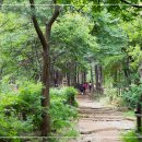 연세랑정신건강의학과의원 이미지