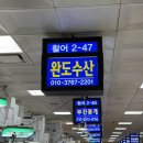 완도회수산 | 노량진 수산시장-완도수산, 일번지 회양념 초장집 다녀온 후기