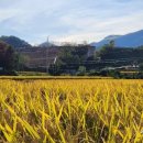 석계2리 이미지