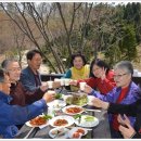 원우조경 이미지