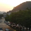 무선로,쌍봉로 이미지