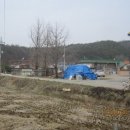 샘실목장 네이버블로그