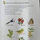 캠퍼트리 호텔 앤 리조트 이미지