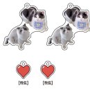 펫부머