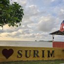 반딧불 프리미엄 이미지