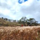 제343차 포천 명성산(923미터,산림청100명산) 정기산행[2025년11월8일4시] 이미지