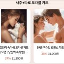 타로 심리상당 | [무료 상담 15분] 섹슈얼 로맨스 카드 / 고양이 펫 타로 / 쿠팡 로켓 그로스 후기 이벤트!
