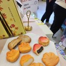 나따오비까 속초점 | 속초 카페 추천 라라의정원 과자의성 나따오비까 투어후기 속초프리패스 제휴