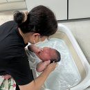 도우미 | 노원 산후도우미 업체 후기 핑크마미 2주
