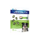 덴탈코리아 이미지