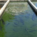 영월동로 이미지