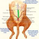 구름동물병원 이미지