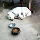 꼭지민박 이미지