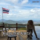 빅시티 | 태국 여행, 푸켓 시티단독투어 자유일정 빅부다 방문 후기(Big Buddha)