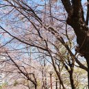 영도어울림문화공원 이미지