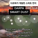 🚨DARPA SMART DUST--다르파가 개발한 스마트 더스트(똑똑한 먼지) 이미지