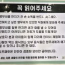 리프패럿 롯데마트 광복점 이미지