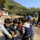 수니유치원 이미지