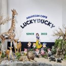 온가족 놀이터 | 대구아이와가볼만한곳 러키더키 패밀리랜드 온가족 체험놀이터