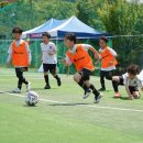 (주)아이비스포츠 네이버블로그