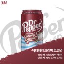 닥터페퍼의 10가지 관문 이미지